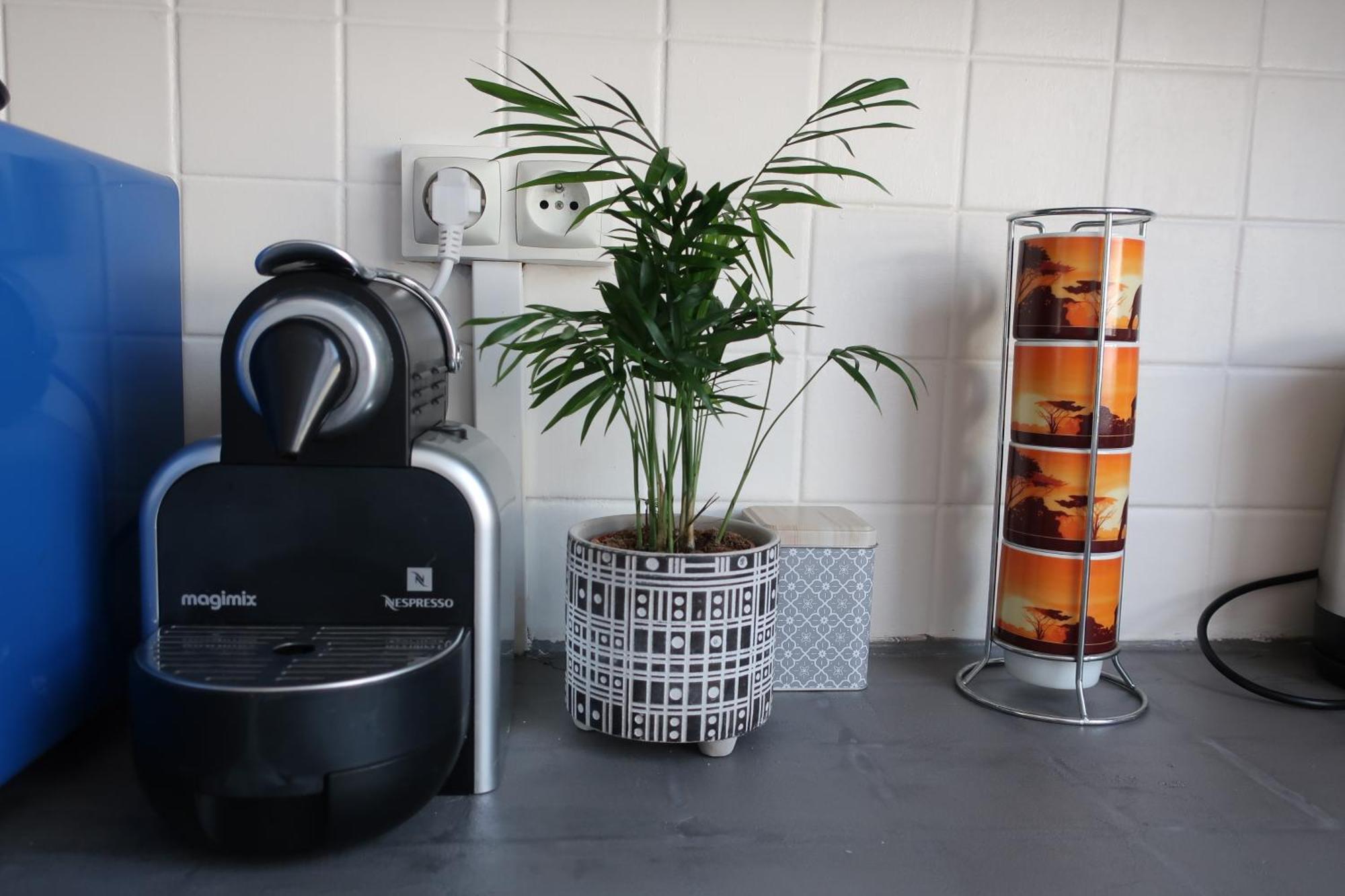 Appartement Avec Jardin Au Coeur De Rennes Esterno foto